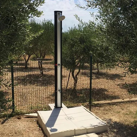 244b * Povljana