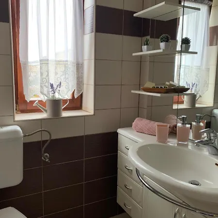 Apartment 244b